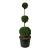 Thuja occ. 'Smaragd'
