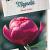 Magnolia Black Tulip