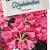 Rhododendron 'Winsome'