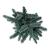 Picea pungens 'Karpaten'