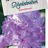 Rhododendron 'Everestianum'