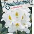 Rhododendron 'Madame Masson'