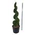 Thuja occ. 'Smaragd'
