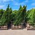 Thuja occ. 'Smaragd'